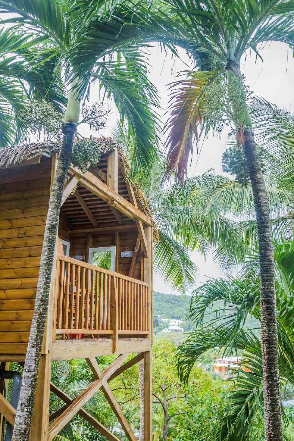 Bed and Breakfast Carre Royal Deshaies Exterior foto