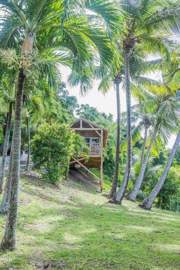 Bed and Breakfast Carre Royal Deshaies Exterior foto